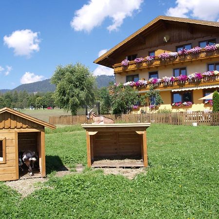 Ferienwohnung Alpenecho Ramsau am Dachstein Kültér fotó