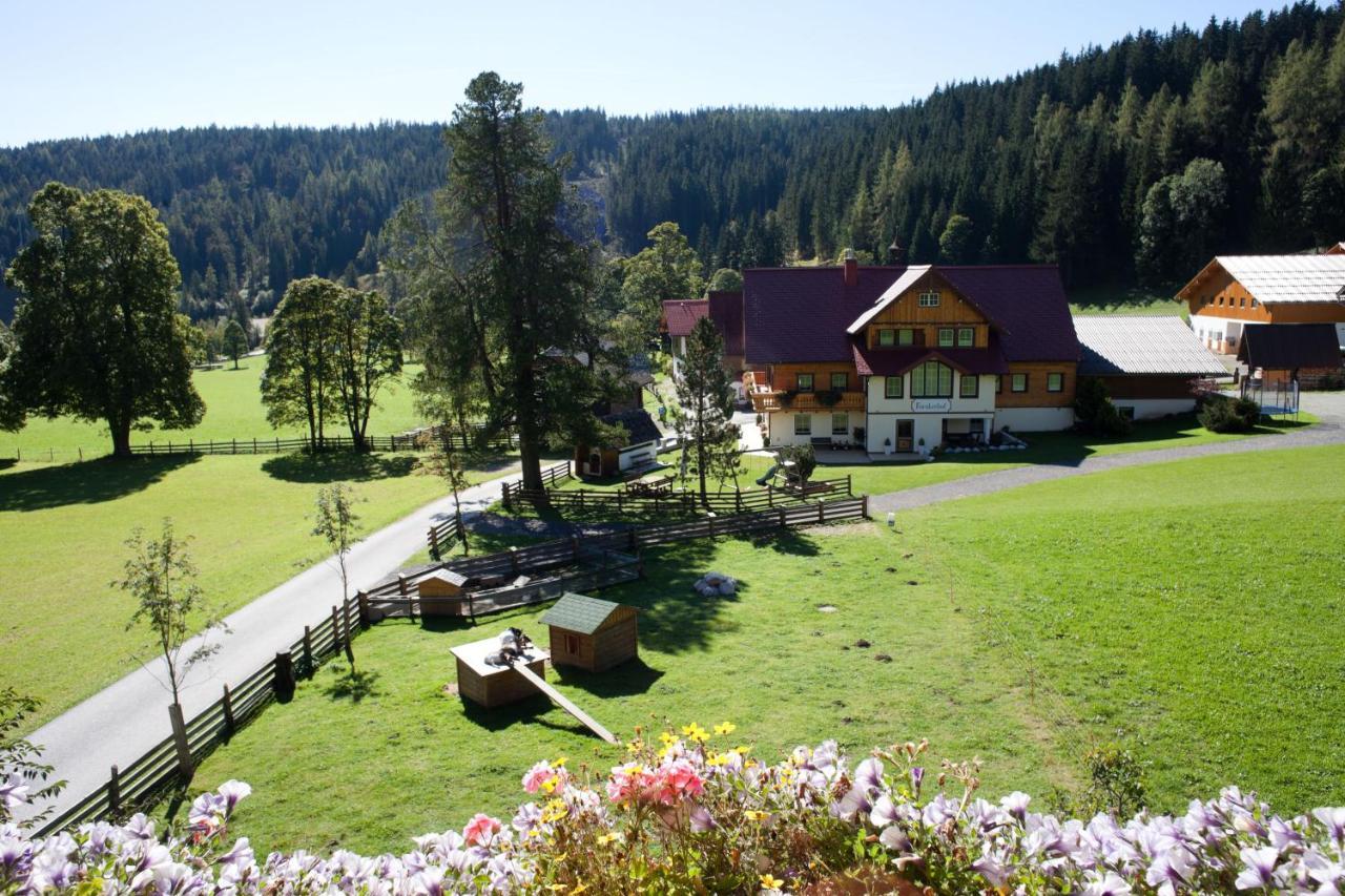 Ferienwohnung Alpenecho Ramsau am Dachstein Kültér fotó